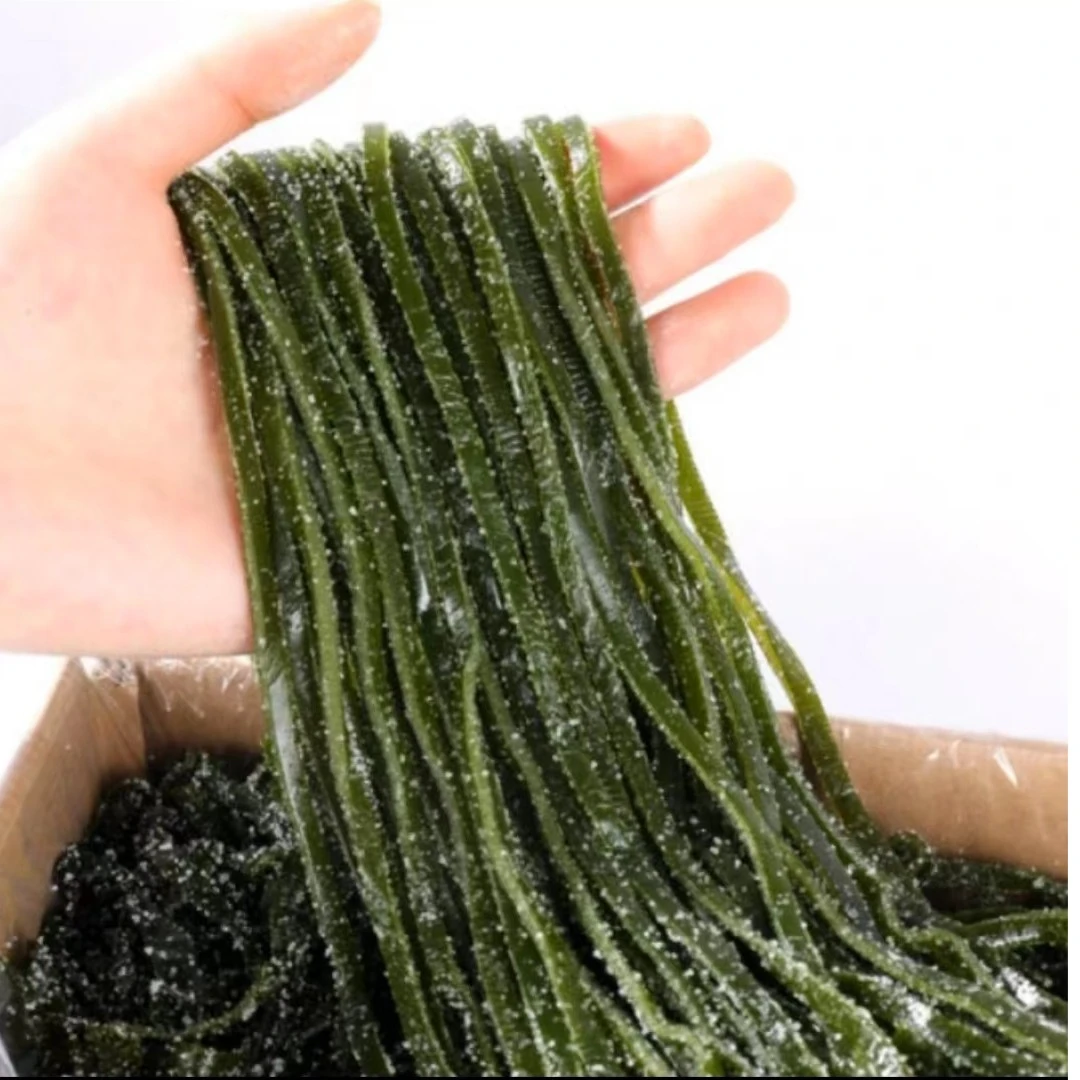 5斤装盐渍海带丝新鲜清脆天然海带边营养凉拌菜营养海鲜干货批发