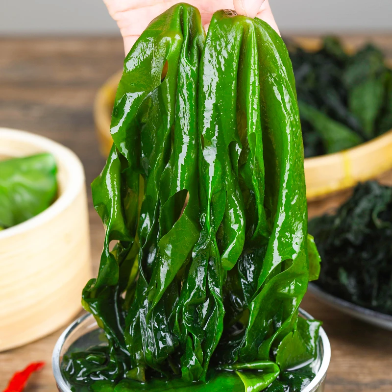 正宗无虫眼盐渍裙带菜箱装新鲜优质脆嫩儿童爽滑火锅配菜少盐精品