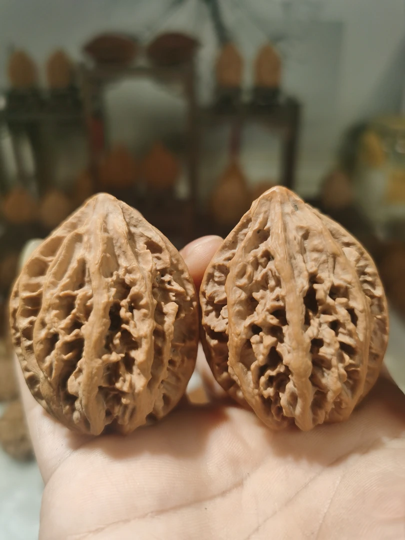 文玩楸子福利单号