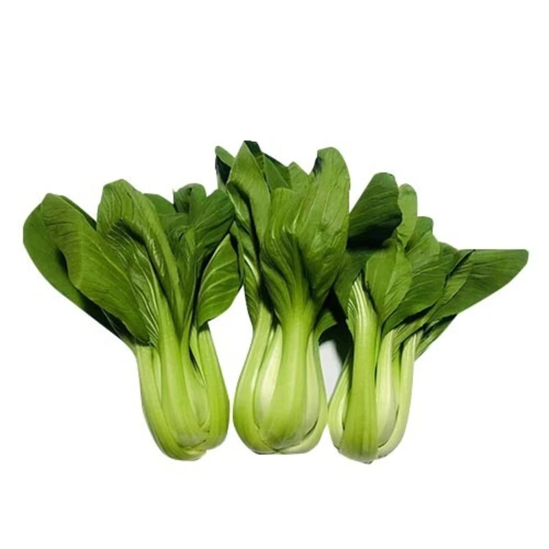 青菜 重约480-500g