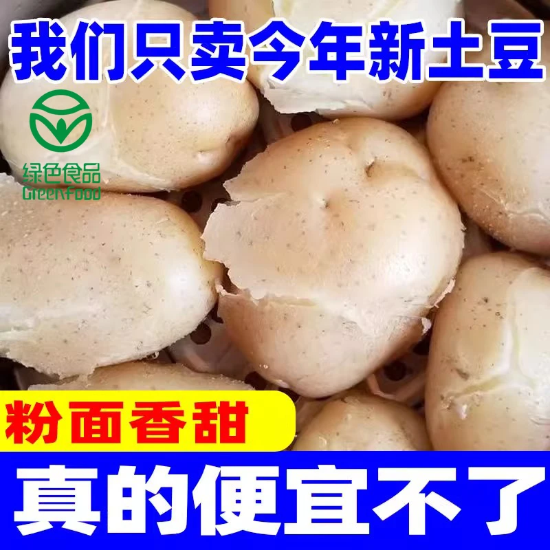 【直播专享】新鲜现挖甘肃沙地土豆爆沙爆粉绿色食品精选