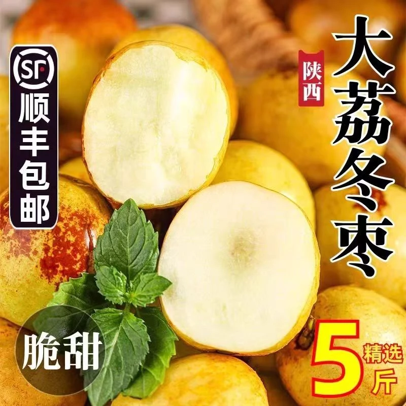 陕西大荔新鲜现摘冬枣脆甜多汁当季水果