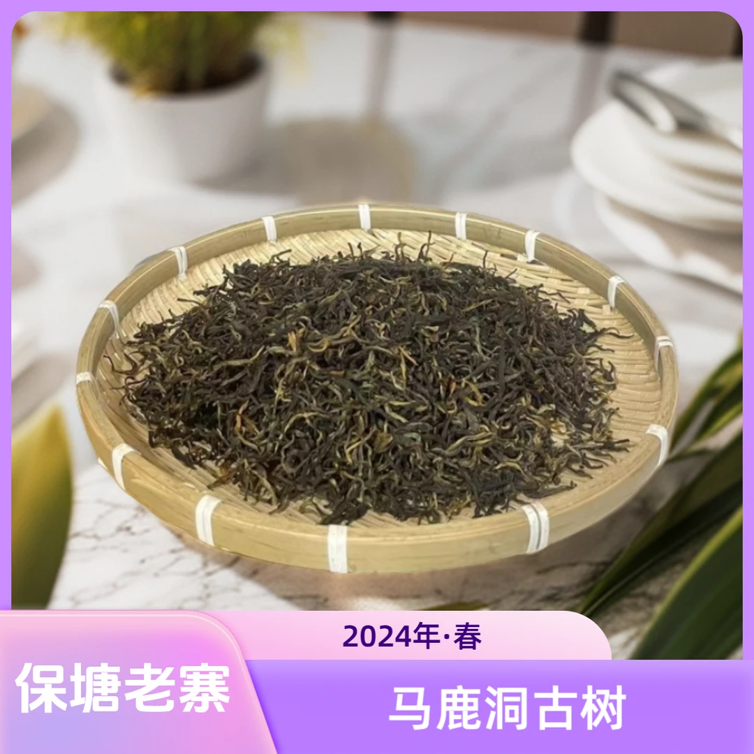 【啊豪普洱】通用链接 景迈山大平掌2023年古树生头春