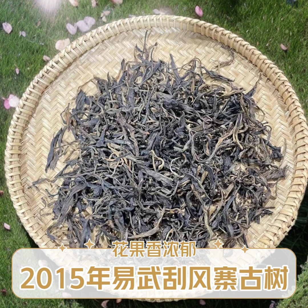 【啊豪普洱】易武刮风寨古树 （品鉴装）2015年 头春头采 普洱茶生茶