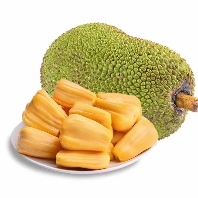 【红肉菠萝蜜】口感入口脆爽，齁甜！香味扑鼻颠覆你对菠萝蜜脆包邮
