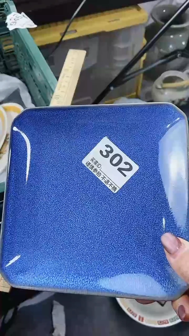 【闪购商品】密胺瓷片302