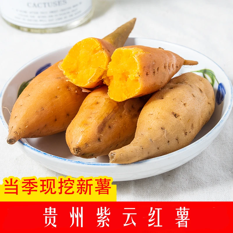 贵州高原原产地软糯紫云红薯沙地地瓜板栗红薯特产