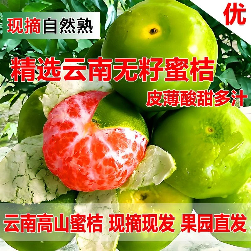 【正宗云南新鲜无籽蜜桔】现摘蜜桔蜜橘子桔子当季柑橘孕妇新鲜水果