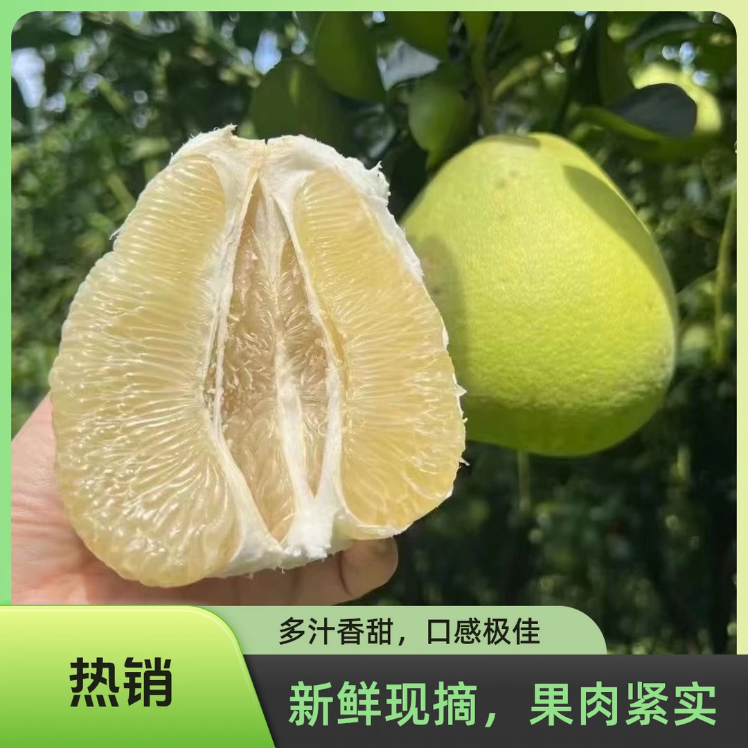 西双版纳翡翠金柚东试青柚应季新鲜蜜柚孕妇水果整箱包邮