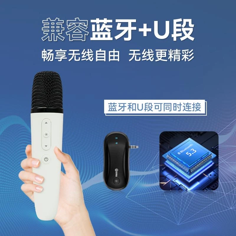 hifier/屁颠虫专业级声卡麦克风做直播内录唱K歌无线蓝牙话筒家用