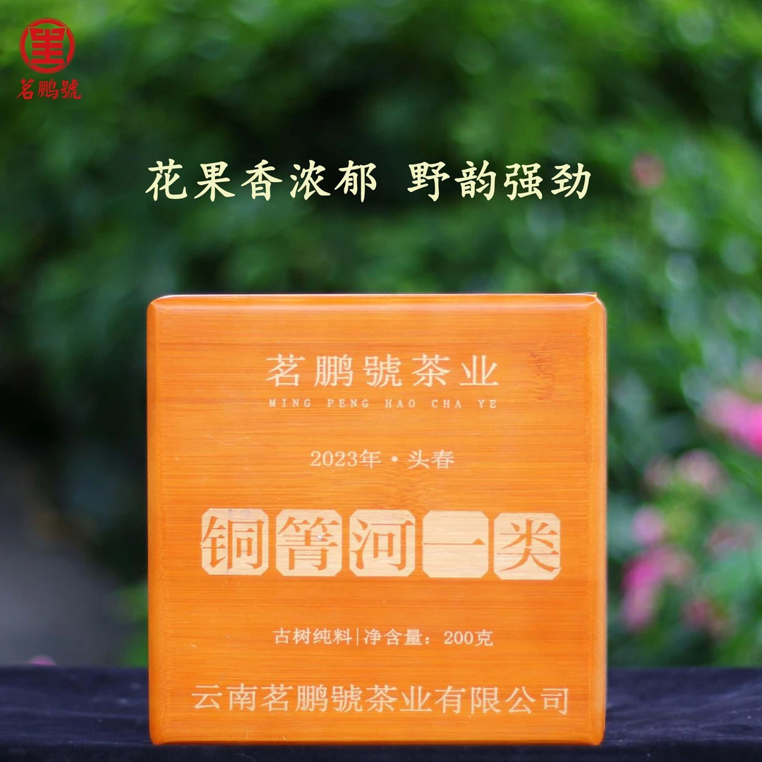 铜箐河一类2023年头春普洱茶生茶古树纯料200克