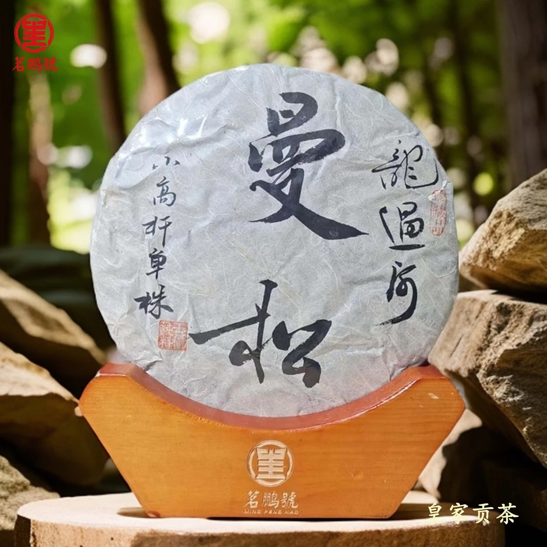 曼松 小高杆单株 龍过河普洱茶生茶