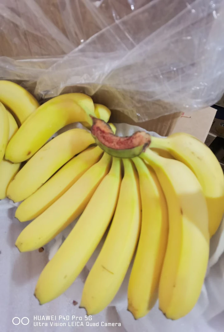 国产香蕉一把（2斤）