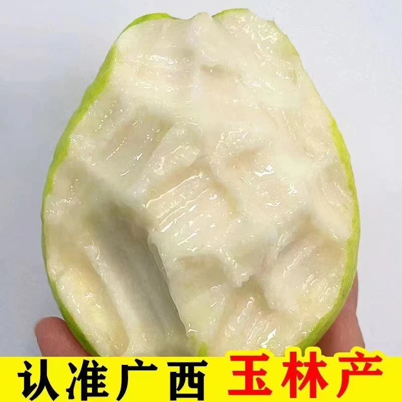广西原产地奶油芭乐白心软芭乐软糯番石榴当季新鲜水果水果芭乐
