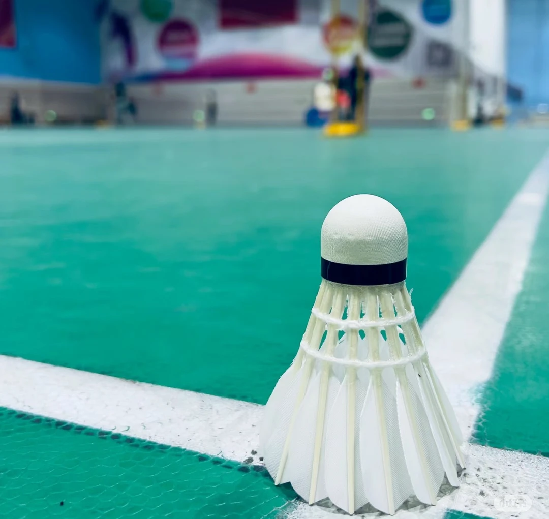 精选鹅毛77速专业比赛羽毛球稳定飞行鹅毛球12只装