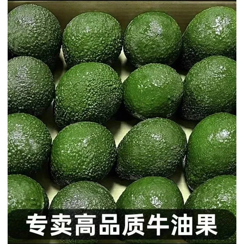 水果牛油果进口大果特大果哈斯成熟秘鲁批发整箱大果鳄梨超大活动