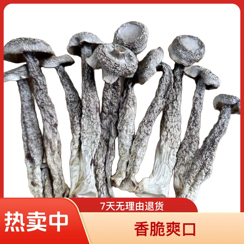 鹿茸菇味道鲜美的食用菌，鲜香脆脆菇散装，香脆爽口鹿茸菇35克