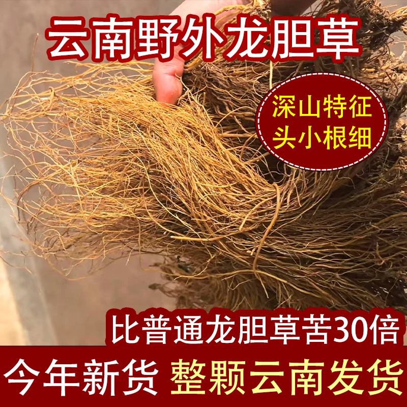 正宗云南龙胆草中药材正品农家苦胆草整颗新鲜晒干龙胆草根粉泡水