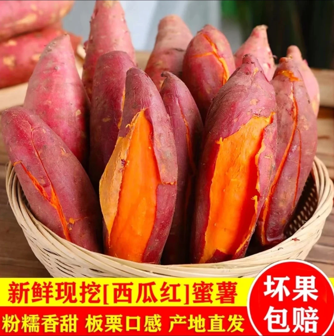 【西瓜红红薯】2024西瓜红沙地蜜薯新鲜现挖纯甜无丝软糯香甜美味