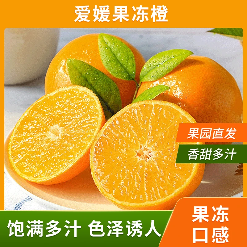 【头茬尝鲜】正宗四川爱媛果冻橙皮薄香甜爆汁的新鲜水果产地直发AL