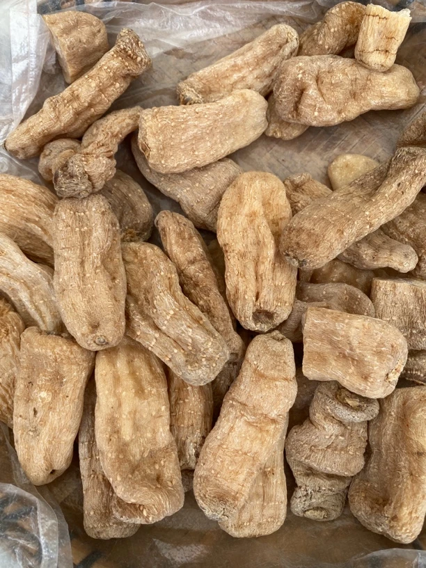云南高山 天 马250克