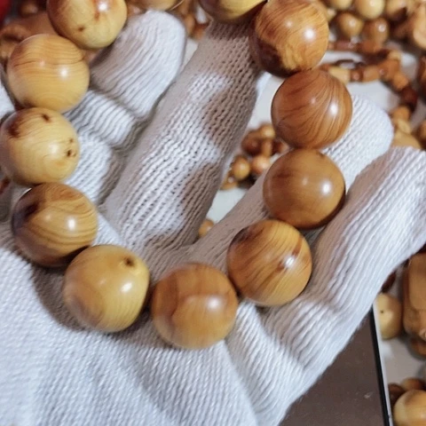 柏木（崖柏）S****.2.0太行微瘤