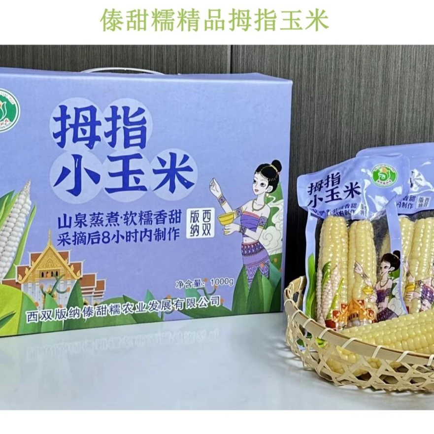 云南西双版纳香糯小玉米傣家新鲜现摘产