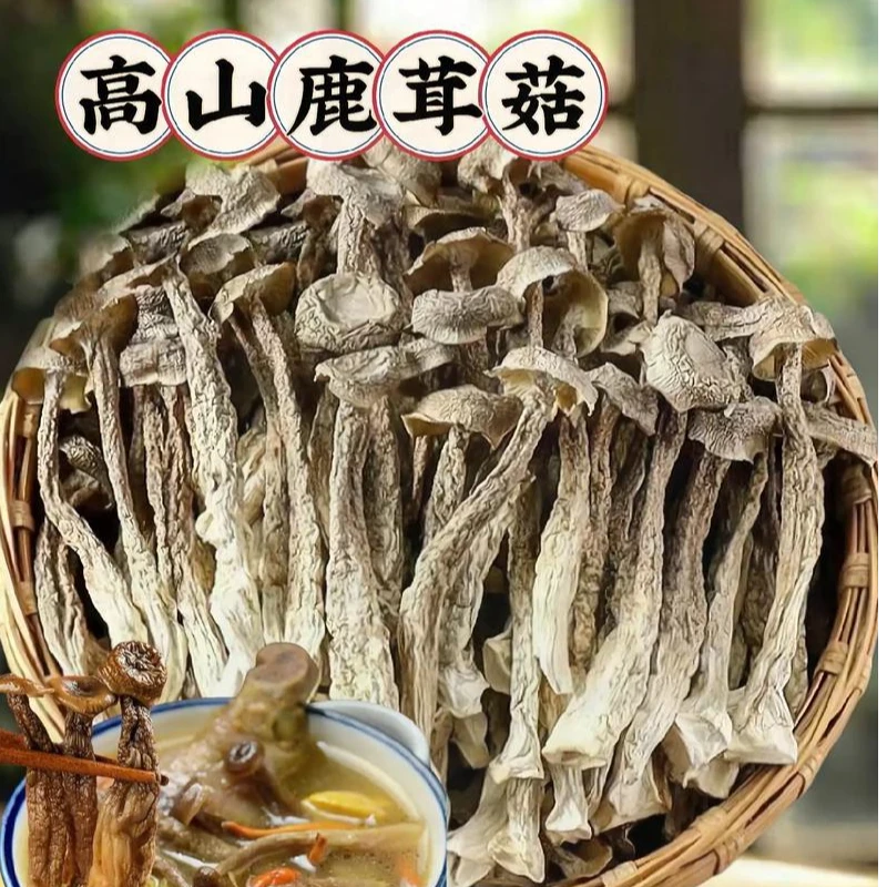 井冈山高山鹿茸菇脆脆菇干货包邮煲汤炒菜炖肉食用脆嫩鲜香美