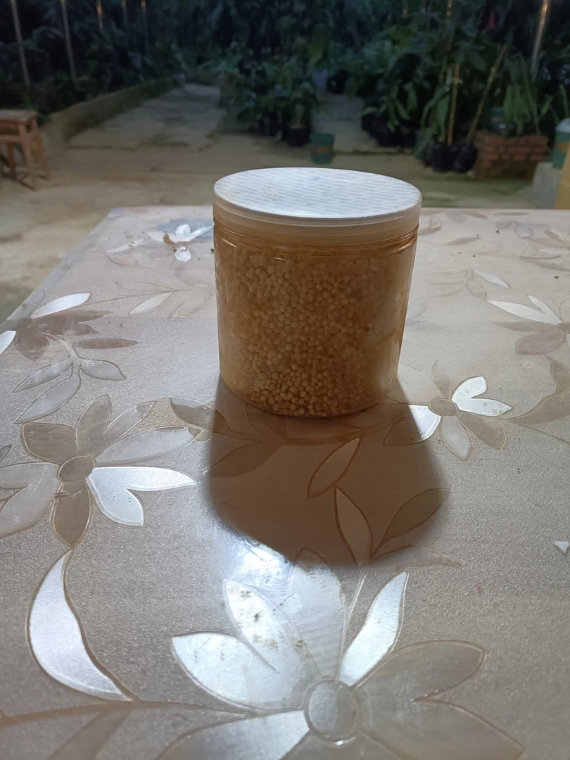 昙花生长专用土壤肥