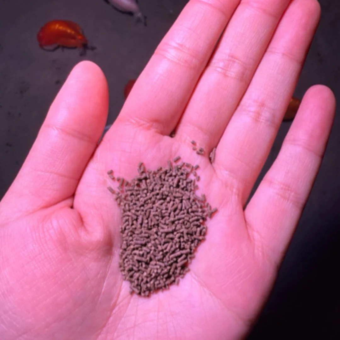 兰寿鱼粮高蛋白下沉式鱼粮增红增艳促头瘤