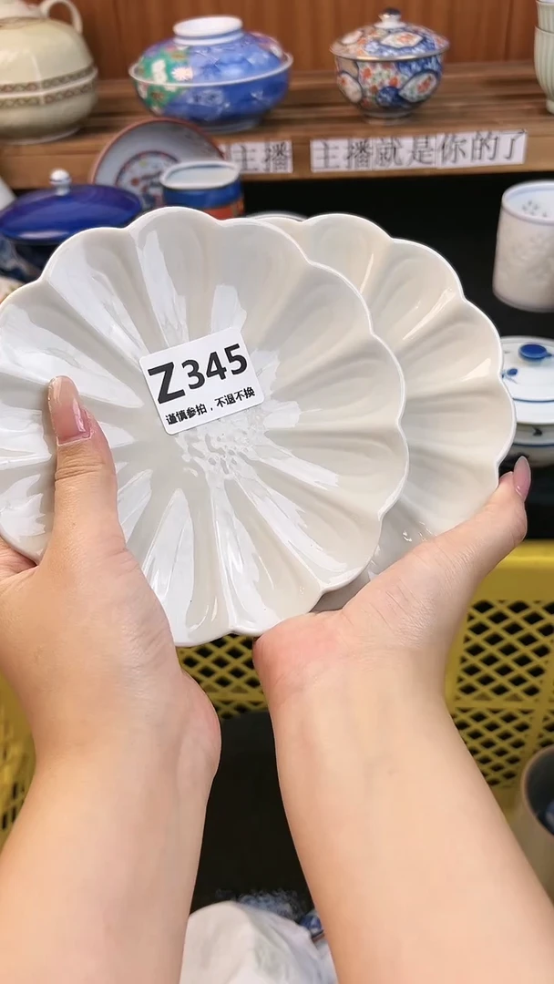 【闪购商品】瓷片345