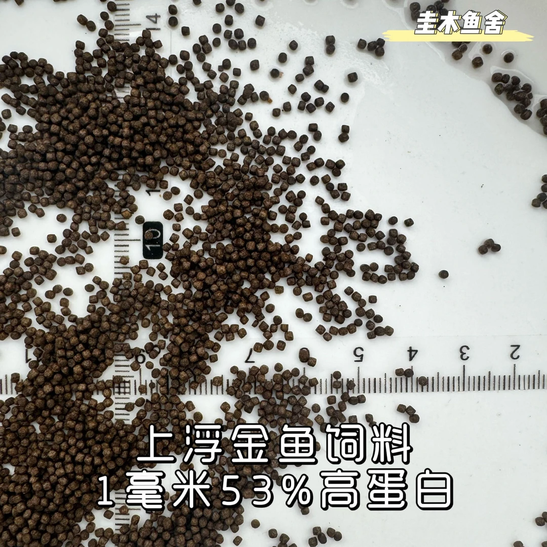 圭木专用1毫米53%高蛋白上浮金鱼饲料 包开口 全国包邮
