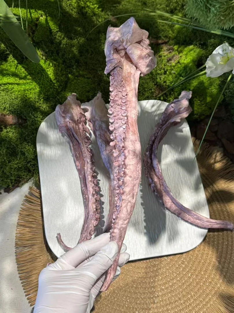 兜兜森林【冻干章鱼足】狗狗零食稀有零食