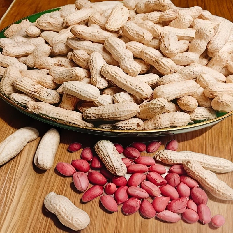 新广东河源红衣四粒红生果红衣休闲零食坚果生果好吃甄选健康美味