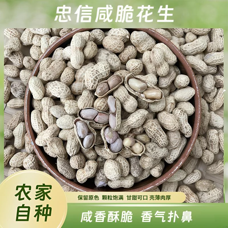当季新果广东新鹰嘴咸脆花生香脆口感花生零食小吃花生米好吃即食