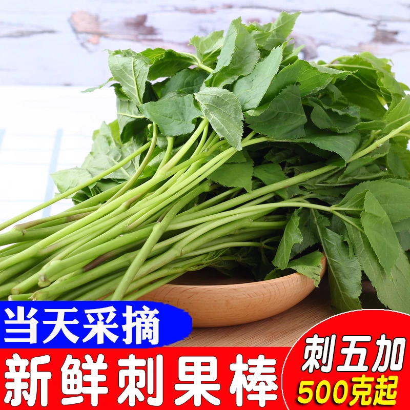 东北辽宁特产大地山菜刺果棒新鲜刺五加山野菜刺拐棒菜500g鲜嫩