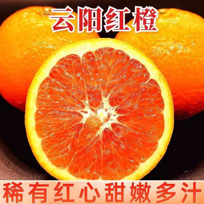 正宗中华红血橙新鲜水果当季红心橙子酸甜多汁产地直发