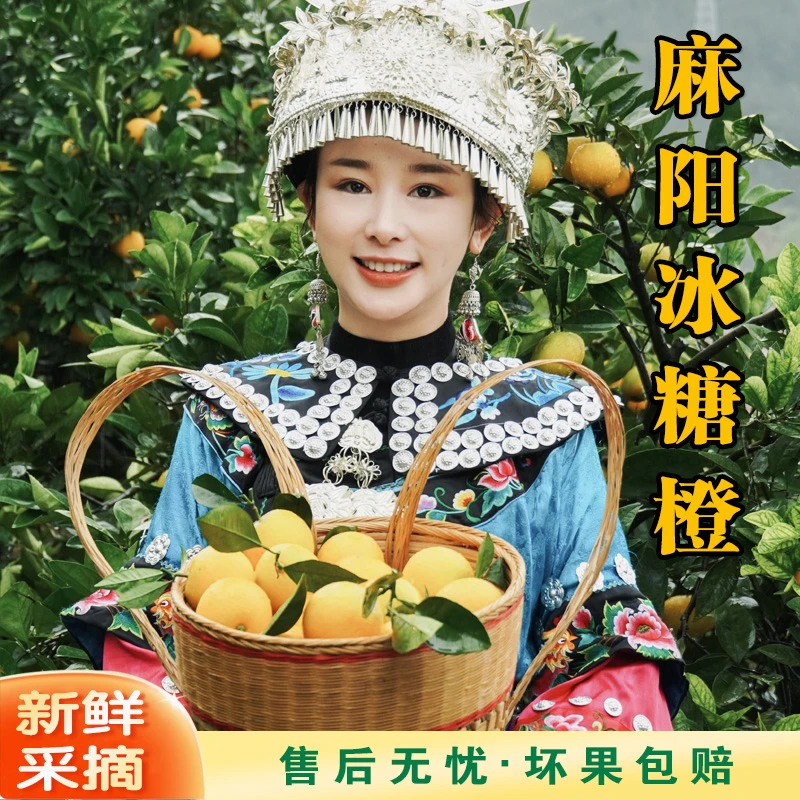 【原产地】湖南麻阳冰糖橙 当季手剥甜橙子新鲜水果橙多汁