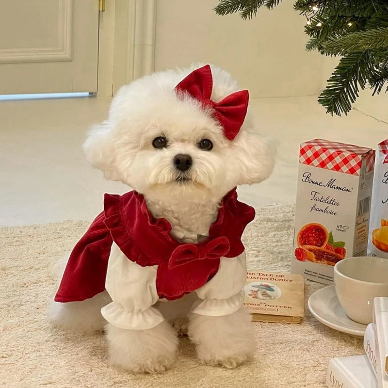 狗狗圣诞裙子送发夹喜庆泰迪比熊博美拜年裙冬天保暖宠物猫咪衣服