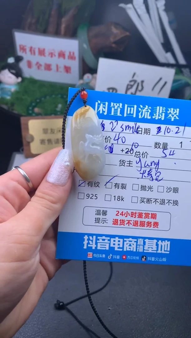 【闪购商品】翡翠颈饰未镶嵌挂件