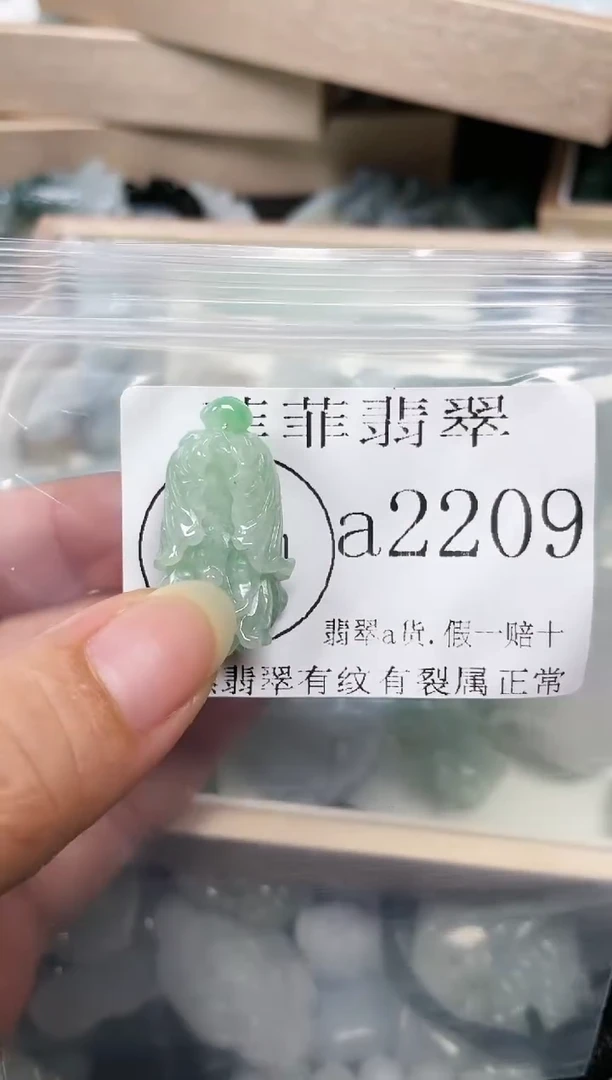【闪购商品】翡翠颈饰未镶嵌闪购2209