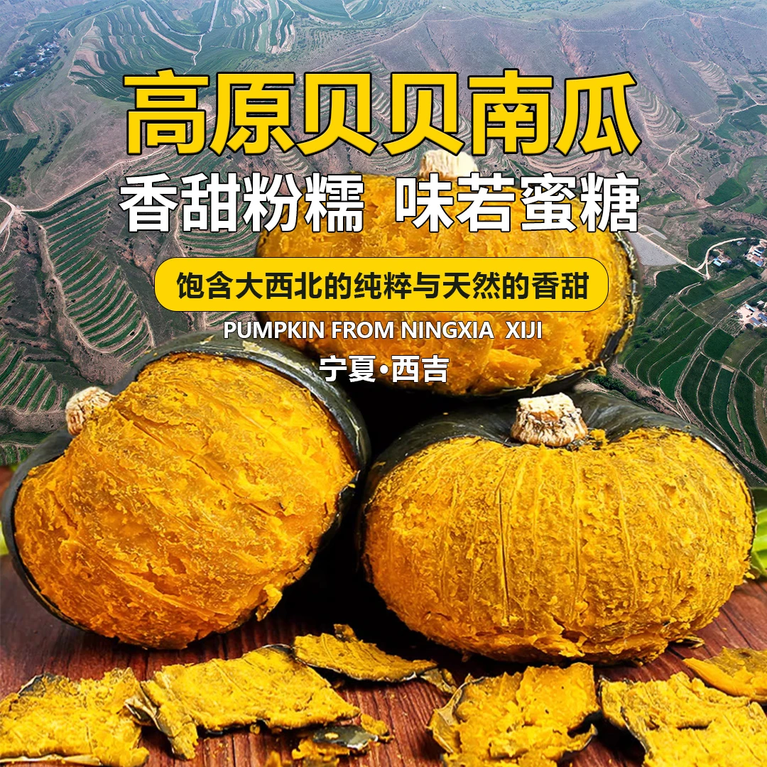 宁夏西吉高原贝贝南瓜