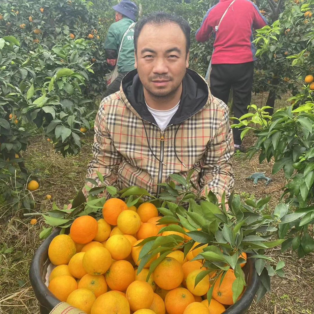 三宝爸 一筐6斤果冻橙 好吃水分足 大人小孩都爱吃