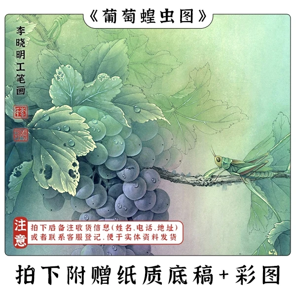 李晓明《葡萄蝗虫图》视频课程教学38*38cm 现代光影效果代表