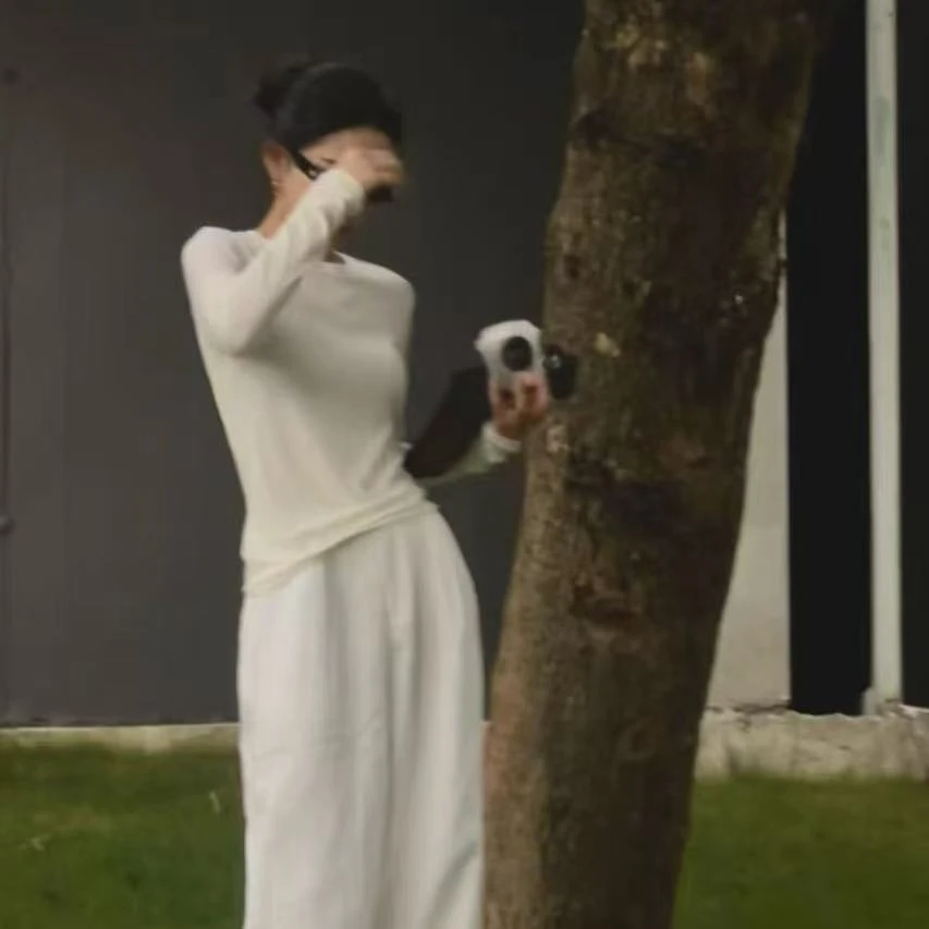 LESSMOI 春秋内搭王~天丝羊毛高弹长袖基础打底衫高弹T恤