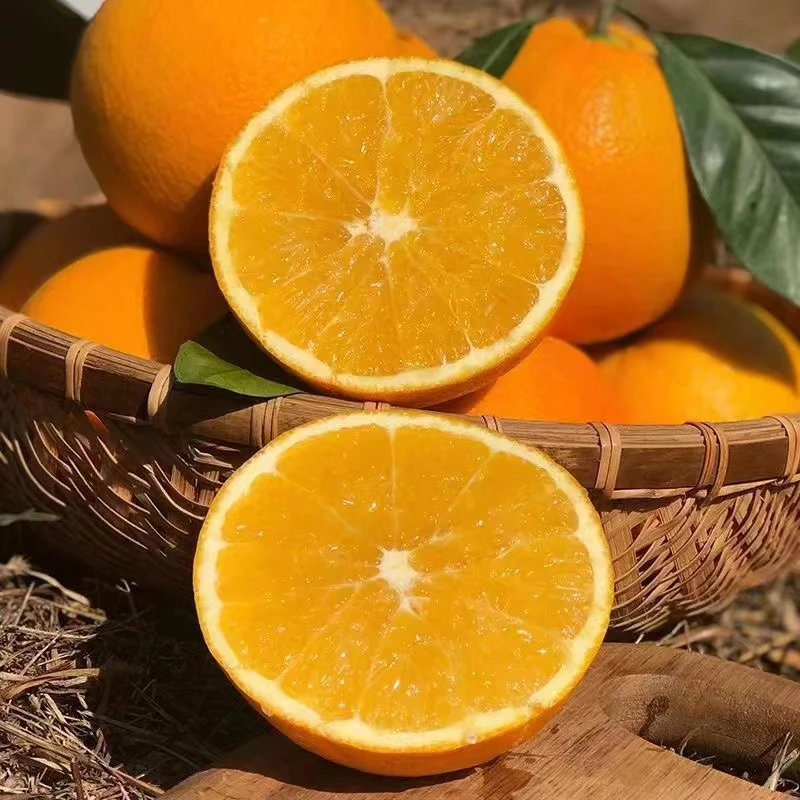 赣南脐橙5斤装