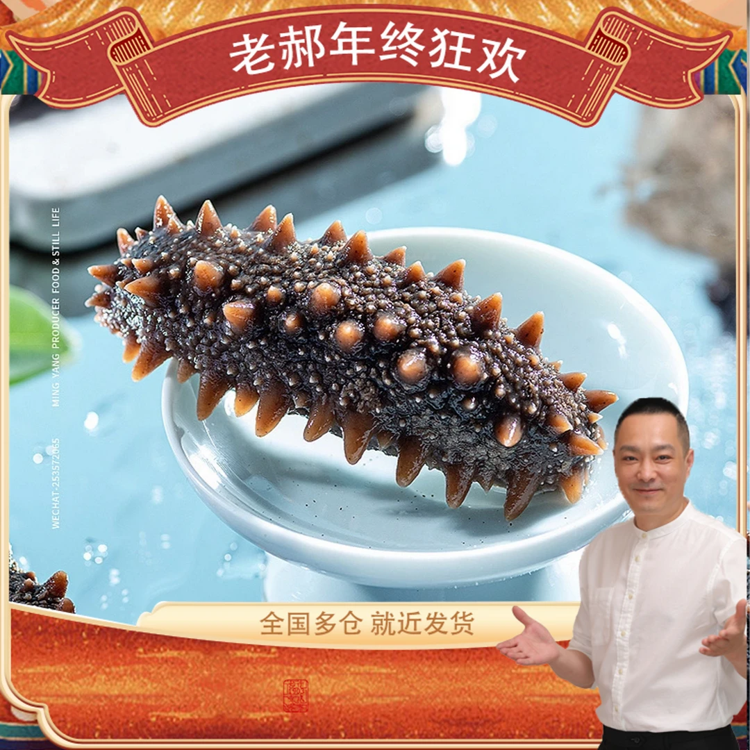 鲜食海参 营养滋补 15-18头一斤 两斤32-36头