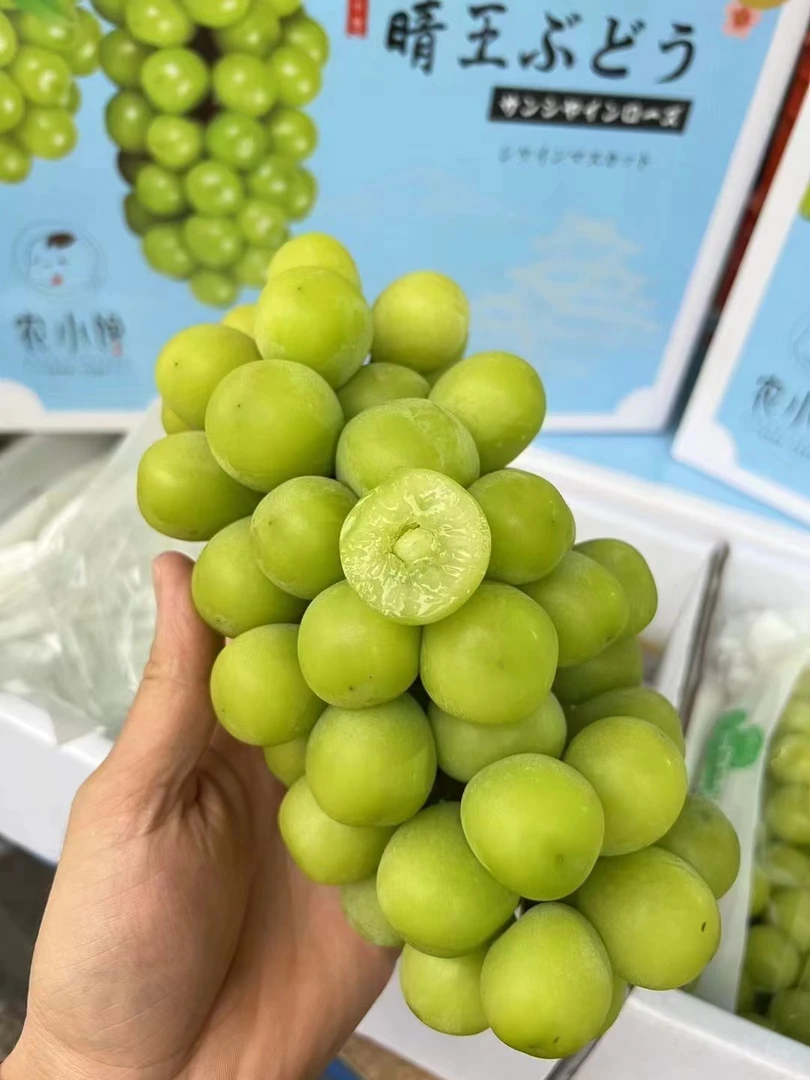 《表妹儿严选》夏日限定 西昌阳光玫瑰 晴王 脆甜爽口 4斤礼盒装