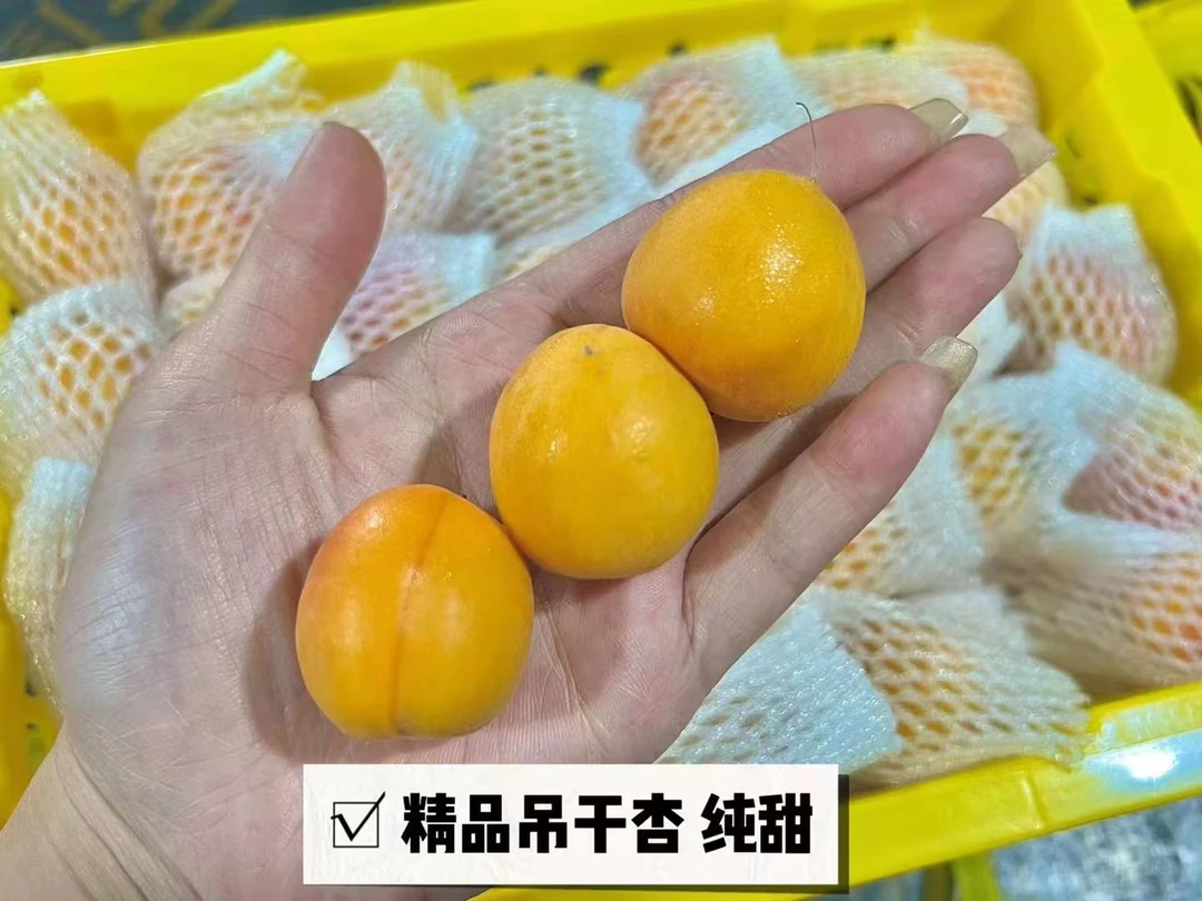 《表妹儿严选》空运新疆阿克苏吊干杏 肉质如蜜 礼盒装