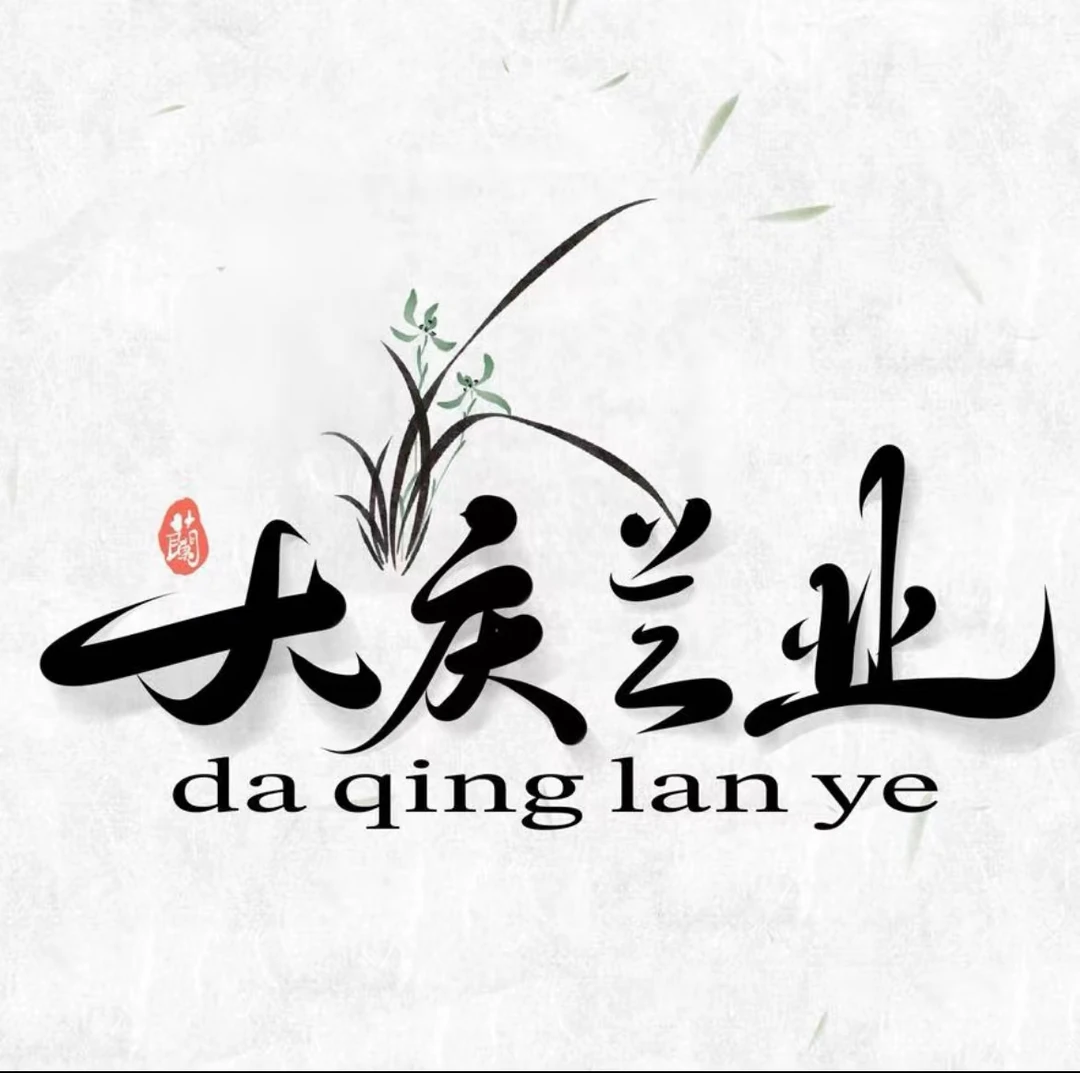 大庆兰业2号小黄车160-2400专用（直播）